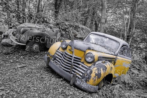 Foto abzug profi - foto,